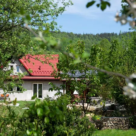Pod Lwia Gora * Struznica